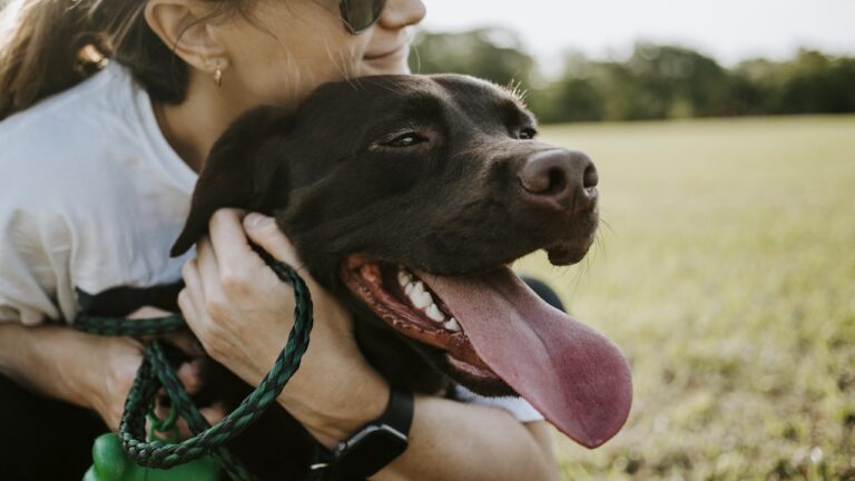 Mensch umarmt seinen Hund